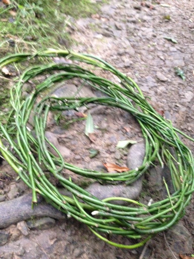 making christmas wreaths bases