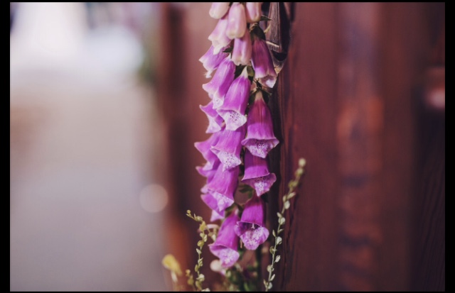 june flowers foxglove aisle markers